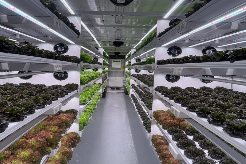 Inside the Gingerly Farms hydroponic growing facility with rows of leafy greens