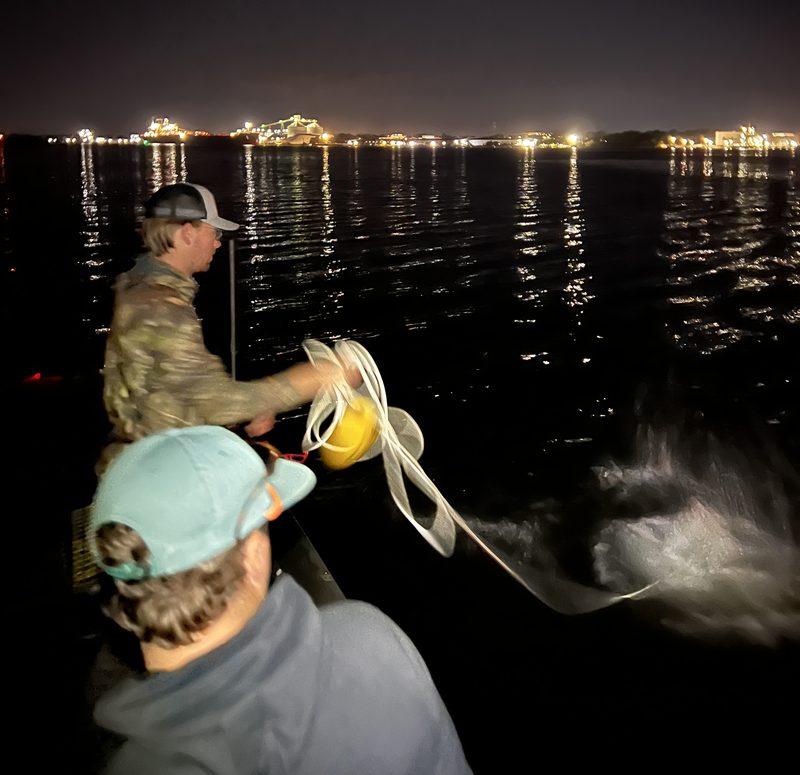 Gingerly Farms founders casting a net on Charleston Harbor at night